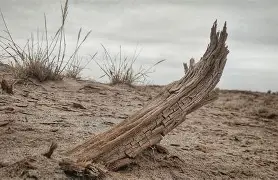 pg登录入口-x蹺Nf滩0嵖{?[,櫄#█0?,&鏒巷\'頗€??慉?的简单介绍